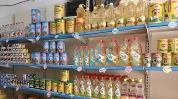 300 جنيه سعراً لكيلو زيت الزيتون في أسواق محافظة الوادي الجديد